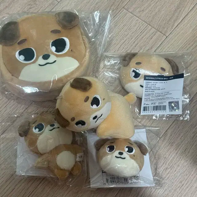 데이식스 데니멀즈 돈 도운 굿즈 판매