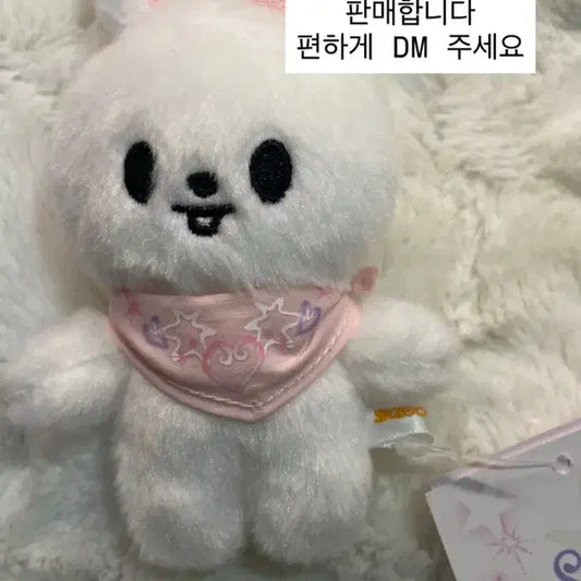 스키주 콩키주 스트레이키즈 리빗 판매합니다