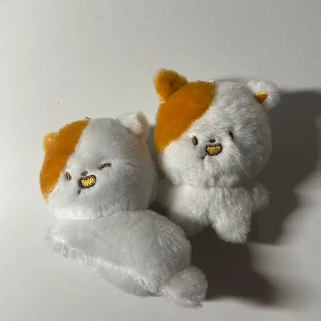 엔시티드림 엔시티 지성 인형 포켓찌 양도