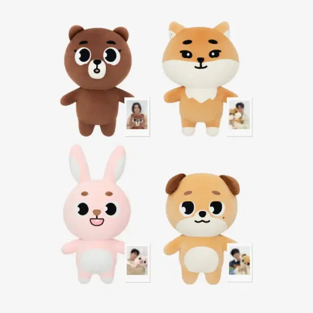 데이식스 자이언트 데니멀즈 자멀 필끼