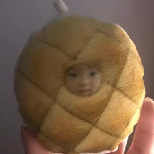 애기사쿠야빵 인형 엔시티위시
