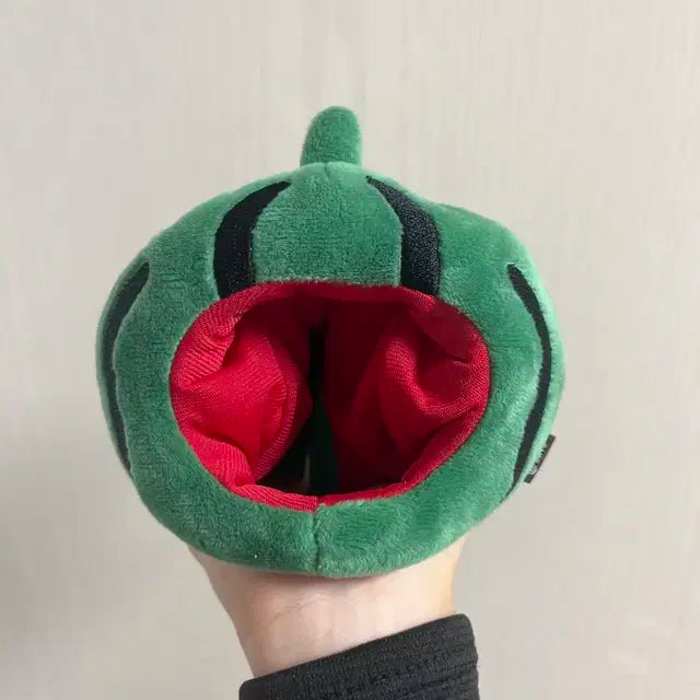 데이식스 수박코스튬