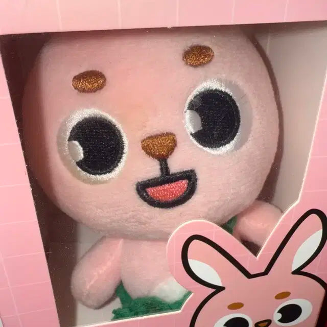 데이식스 원필 필끼 22