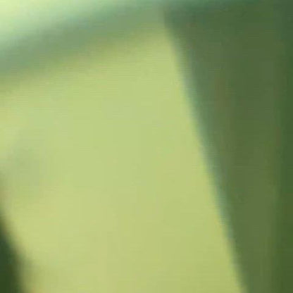 메모리 윗츄 유우시 본체,스테디 앨범 팔아요!!