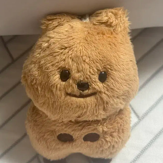 엔시티 127 일이칠 정우 인형 쩡카 양도