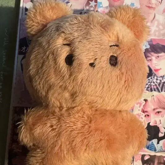 더보이즈 현재 인형 달곰이 곰곰이 횬도리 공식인형