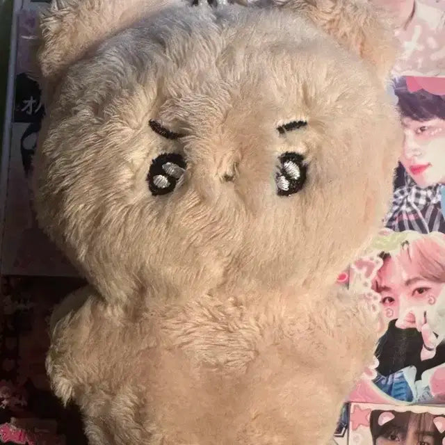 더보이즈 현재 인형 달곰이 곰곰이 횬도리 공식인형