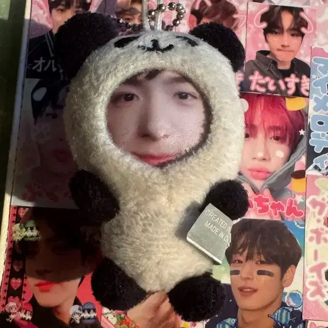 더보이즈 현재 인형 달곰이 곰곰이 횬도리 공식인형