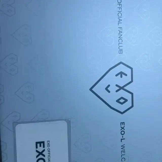아큐이 작큐이 백현 인형 엑소 웰컴키트