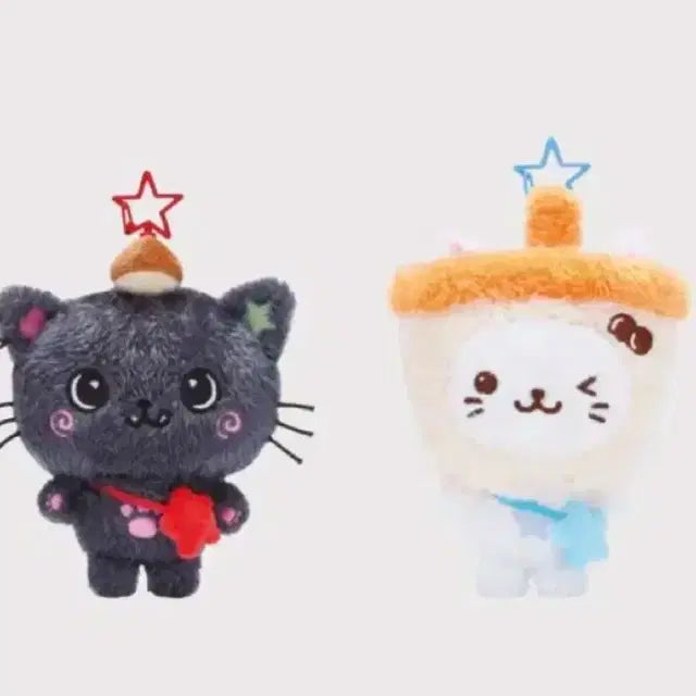 쿠리 버블냥 양도 합니다.