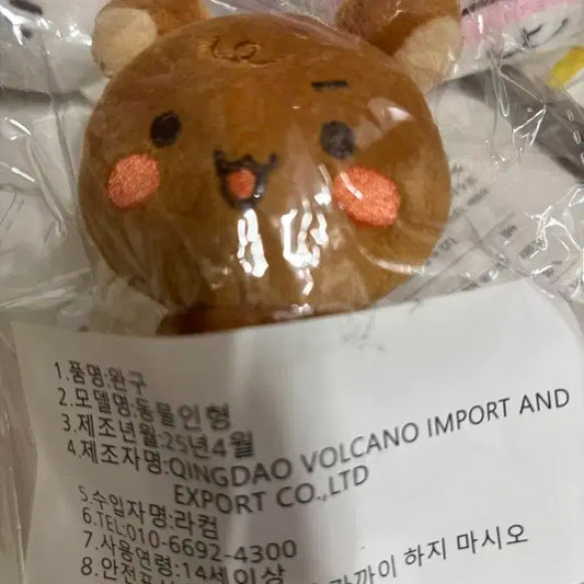 보이넥스트도어 보넥도 삐넥도 운학 인형 우나고치