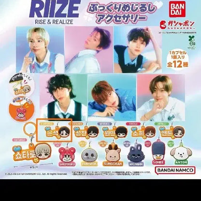 라이즈 가챠