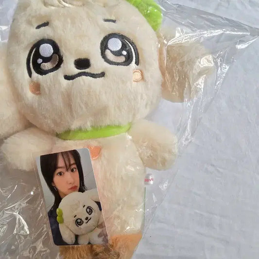 미개봉)아이브안유진강안지30cm인형 미니브