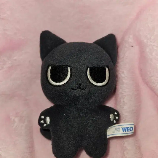 카리나 직냥이 에스파