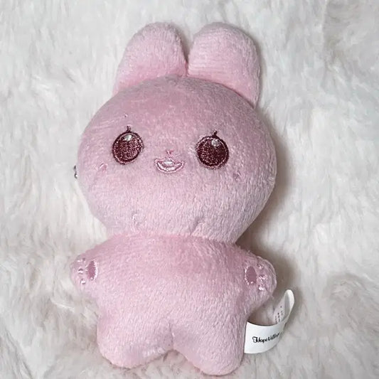 뉴진스 하니 인형 팜빗