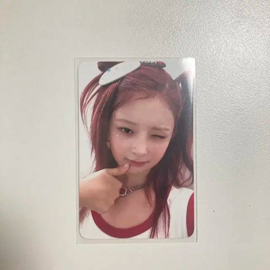 레이 포카