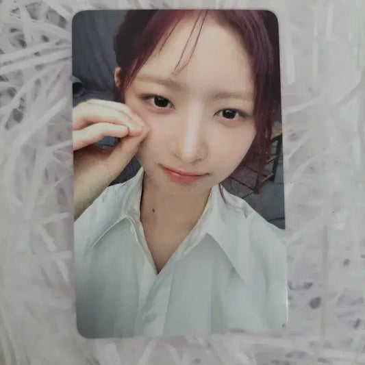 아이브마인 위드뮤 럭드 레이 포카 양도