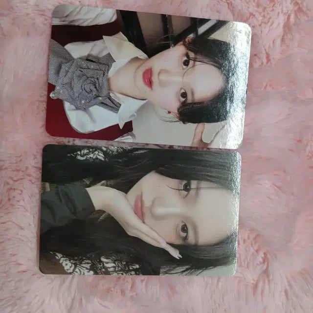 덤폭)아이브 가을포카