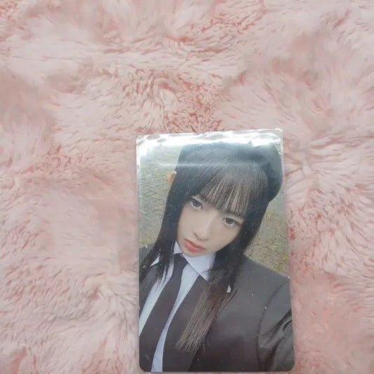 아이브 레이포카