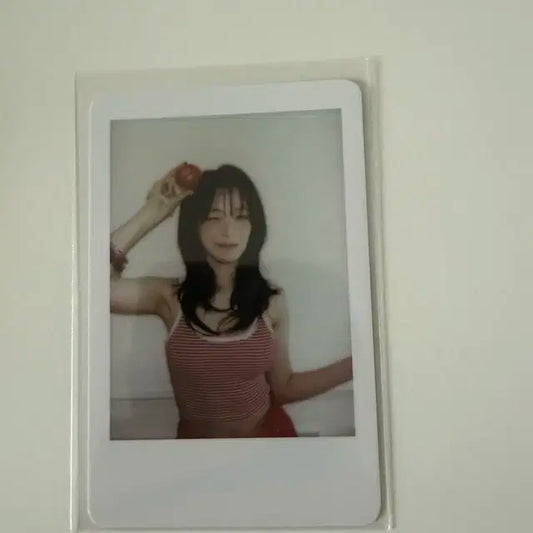 백지헌 팝업 사전예약 포카