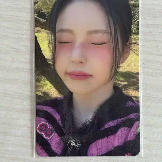 엔믹스 규진 엑스페르고 럽미라잌디스 포카 양도