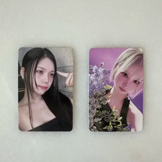 은하 엄지 라라럽미 포카