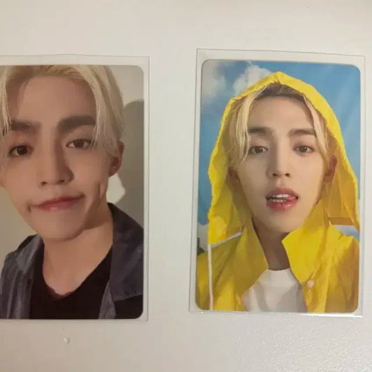 세븐틴 포카 양도(95&96즈)