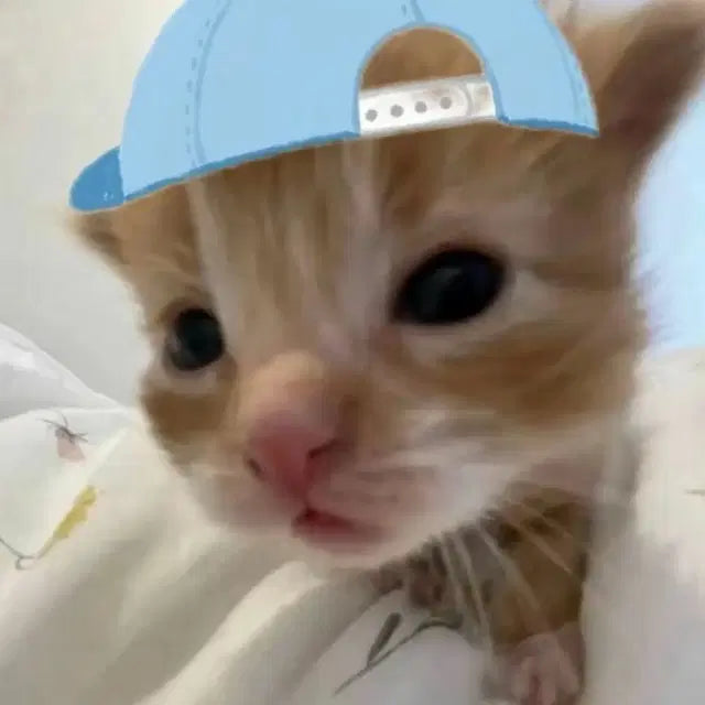 스트레이키즈 탈덕 급처