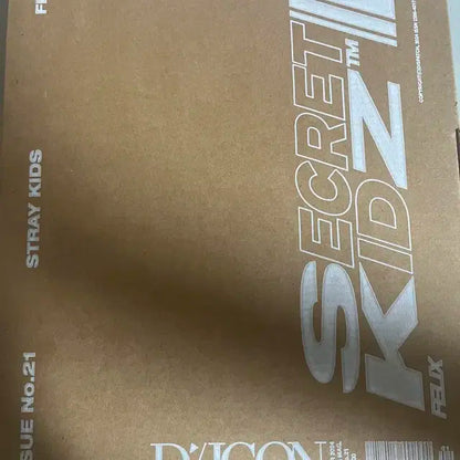 스키즈 디아이콘B (필릭스)팝니다