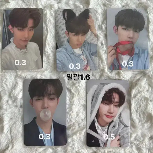 최저가)제로베이스원 제베원 장하오 미공포 케타포 에버라인