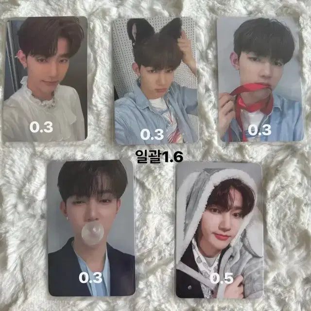 최저가) 제로베이스원 제베원 장하오 미공포 사웨 럭드 탐정