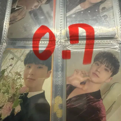 세븐틴 호시 포카