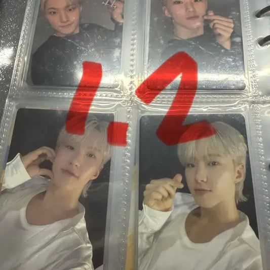 세븐틴 호시 포카