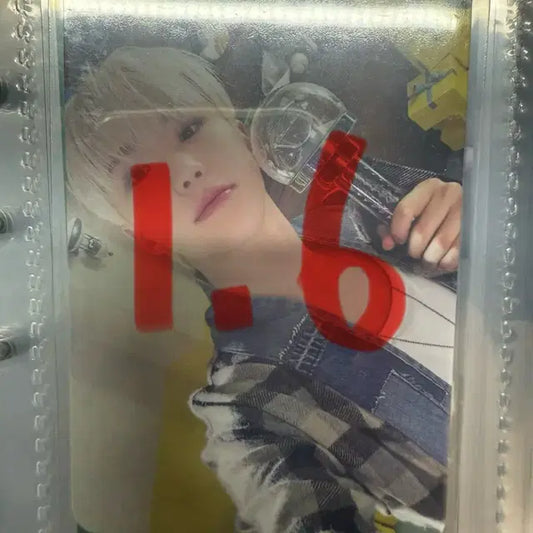 호시 캐럿존 포카