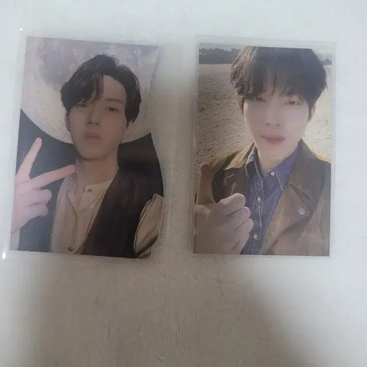 데이식스 도운 포카 일괄