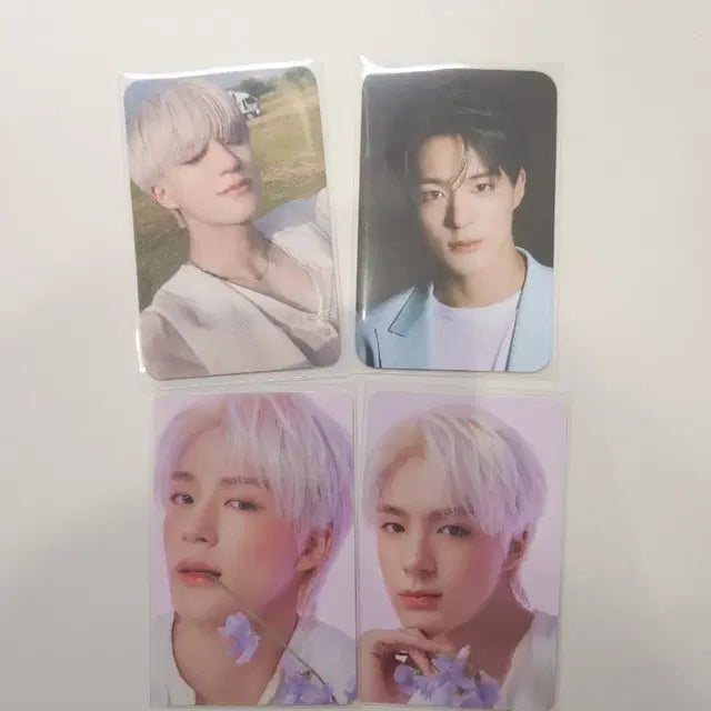 엔시티 드림 제노 포카 양도
