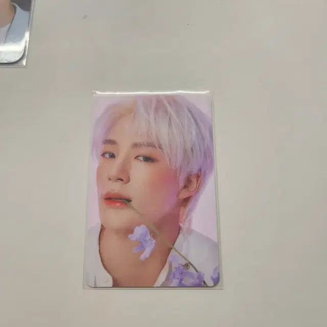 엔시티 드림 제노 포카 양도
