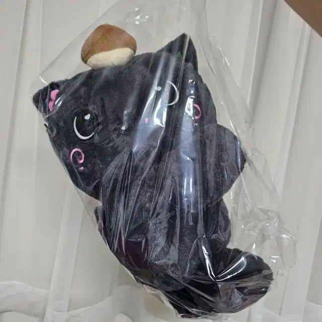 엔시티위시 리쿠 쿠리 인형 가방