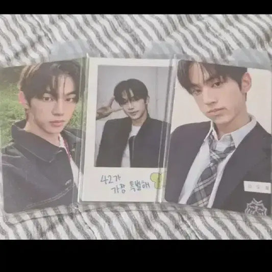 투어스 도훈 포카