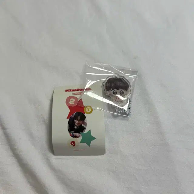 엔하이픈 정원 생카용품