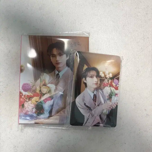 세븐틴 준  spill the feels 스필더필즈 캐럿반 바인더