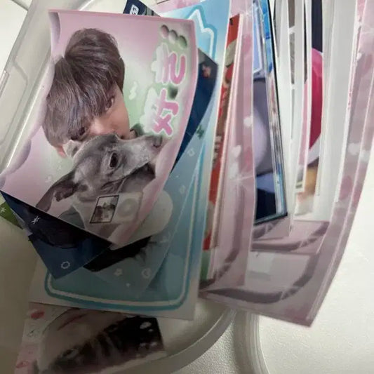 제베원 비공굿 팝니다.