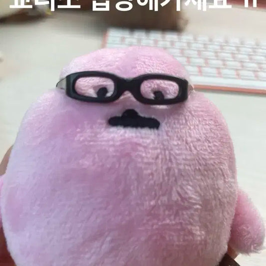 (급처)농담곰 교니소