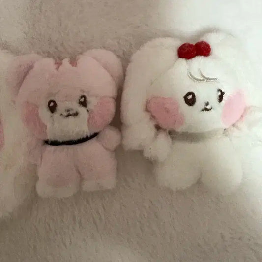 체리니 랑니니 아이브 미니브 팔아요
