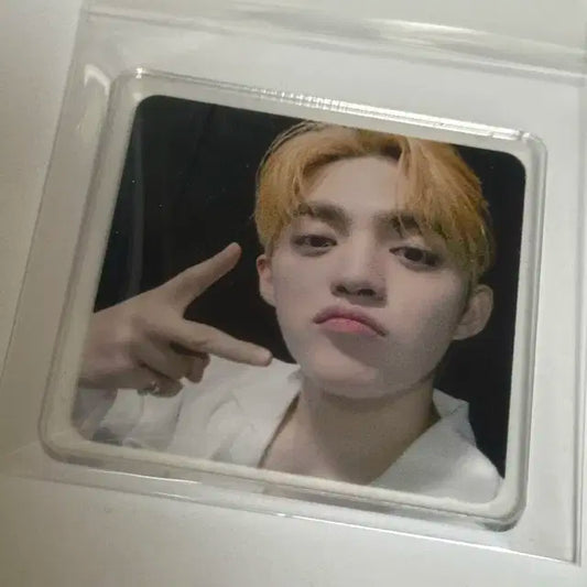 에스쿱스 마그넷 양도