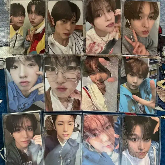 엔시티 위시 포카 일괄 양도