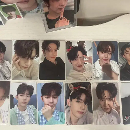 제베원 포카 양도해요 성한빈 김지웅 장하오 석매튜 김태래 리키