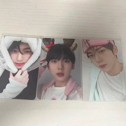 제베원 포카 양도해요 성한빈 김지웅 장하오 석매튜 김태래 리키