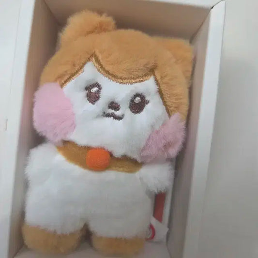 최저가) 아이브 미니니 리즈 치즈니