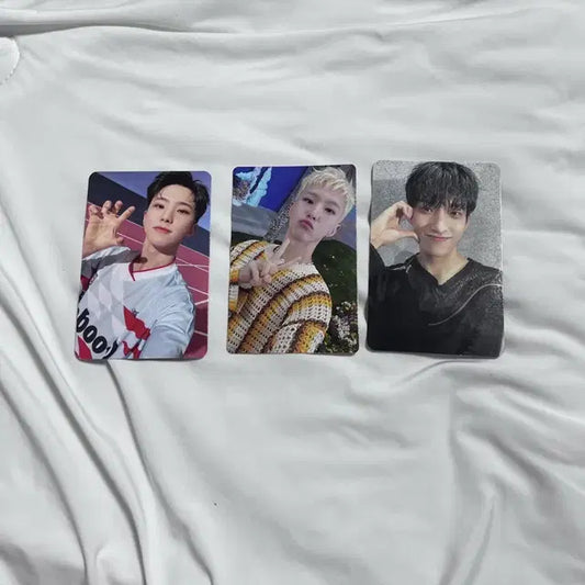 세븐틴 포카